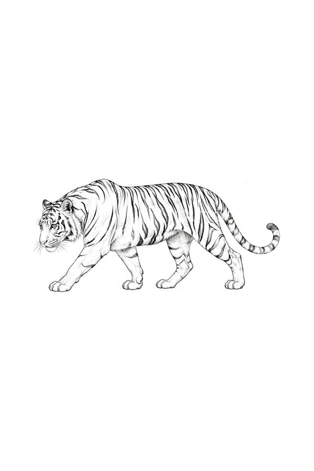 Striding Tiger Fine Line Tattoo Design