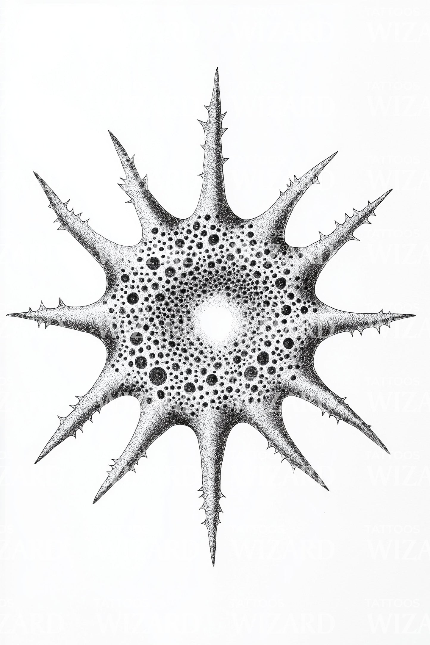 Sunburst Radiolarian Star Tattoo Idea