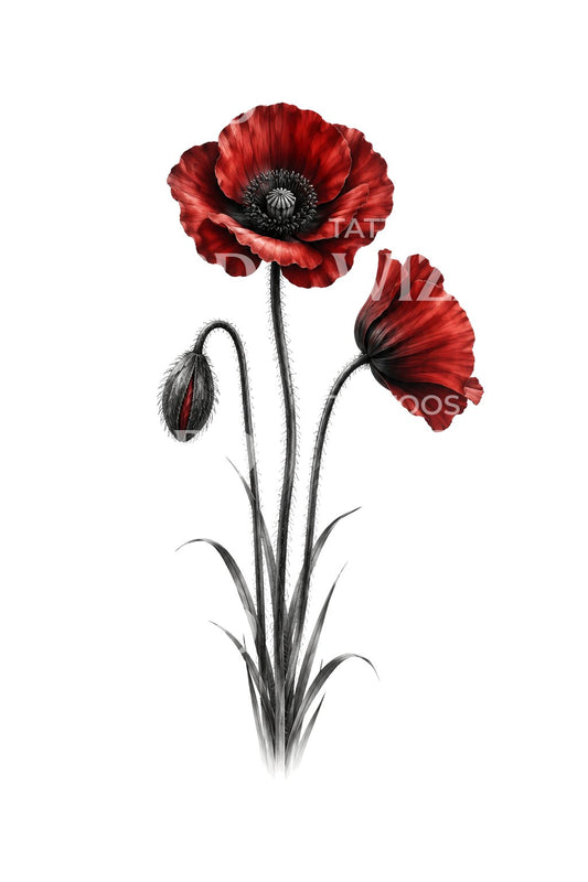 Three Stem Crimson Poppies Black and Grey Tattoo Illustration