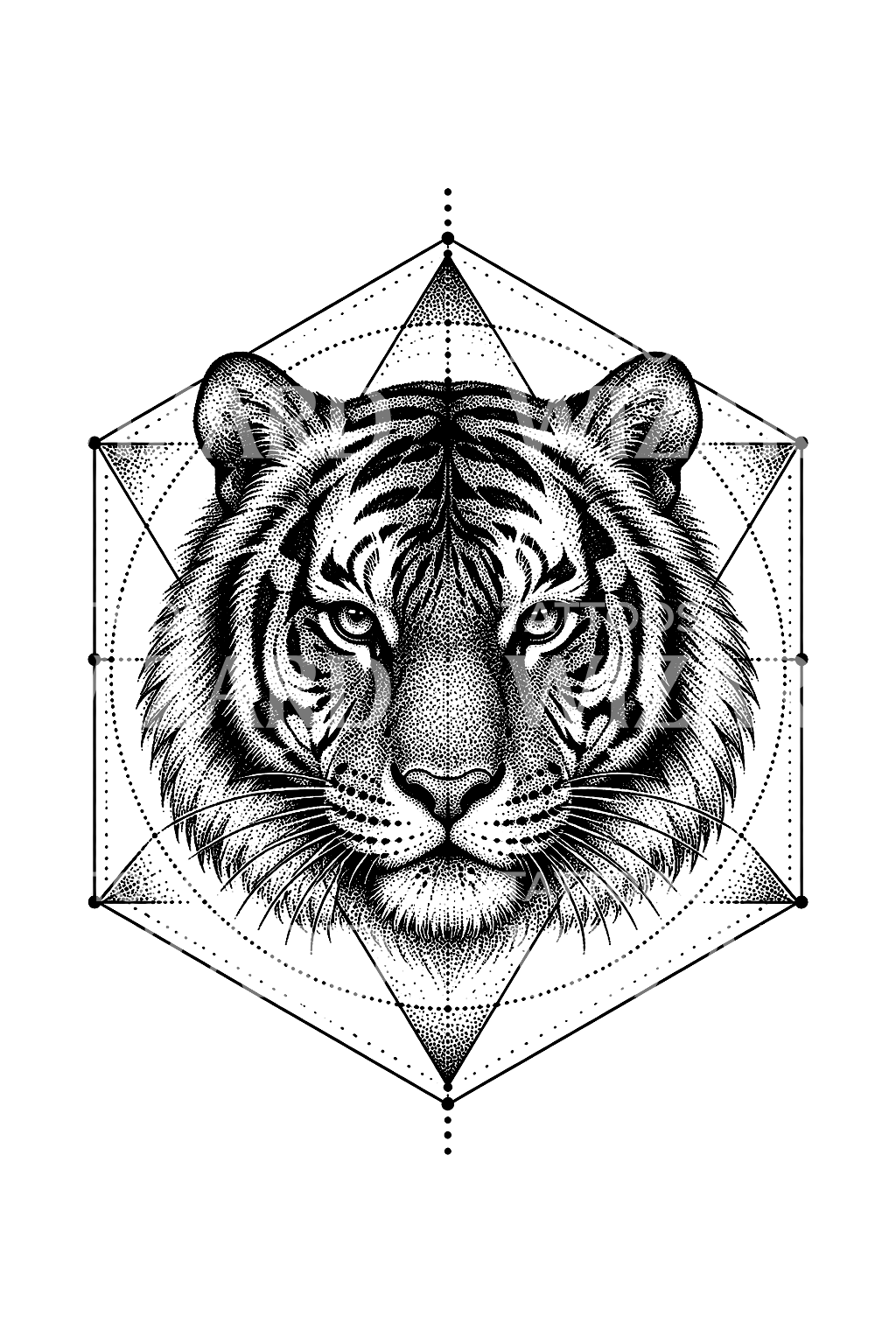 Cabeça de tigre num hexágono de geometria sagrada, tatuagem dotwork