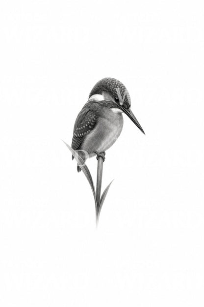 Tiny Kingfisher on a Reed Tattoo Idea