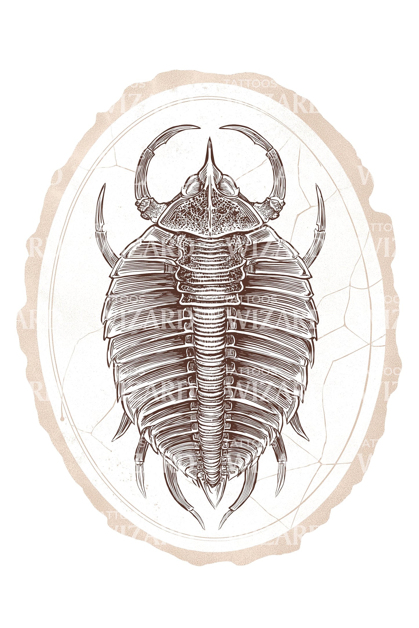 Trilobite Fossil Tattoo Illustration