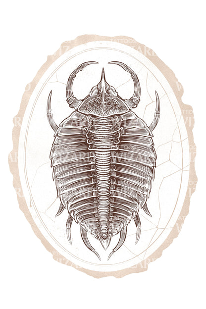 Trilobite Fossil Tattoo Illustration