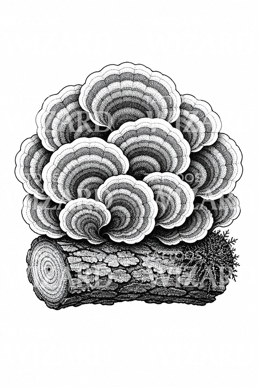 Turkey Tail Mushroom Cluster Tattoo Design