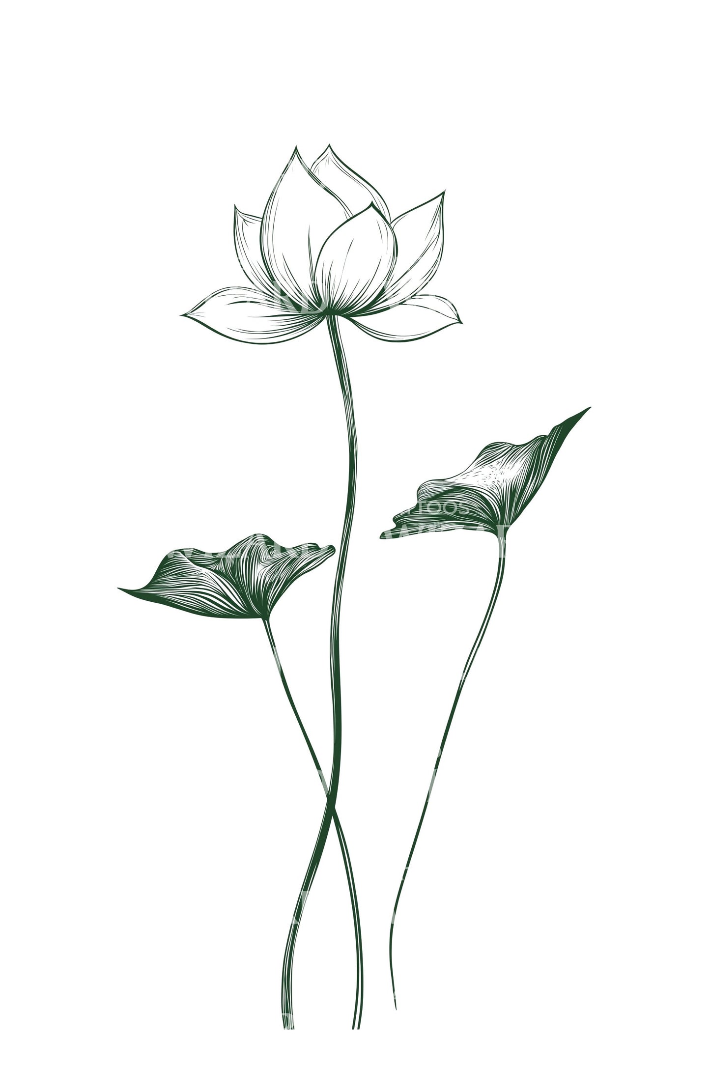 Twin Lotus Outline Tattoo Design