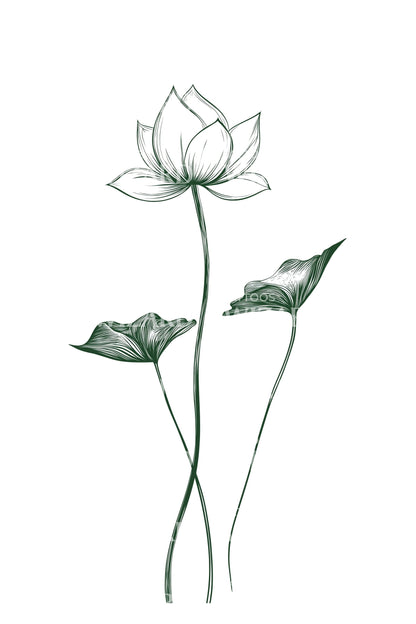 Twin Lotus Outline Tattoo Design