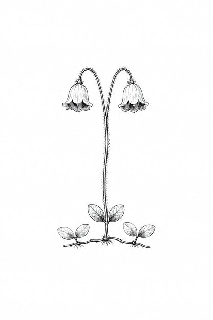 Motif de tatouage des clochettes jumelles