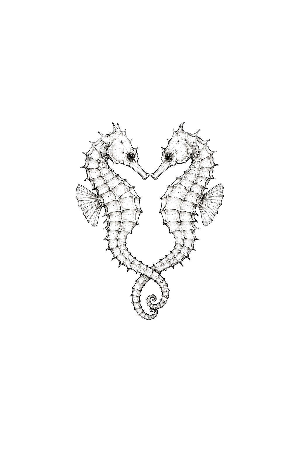 Due cavallucci marini con code intrecciate, tatuaggio fine line