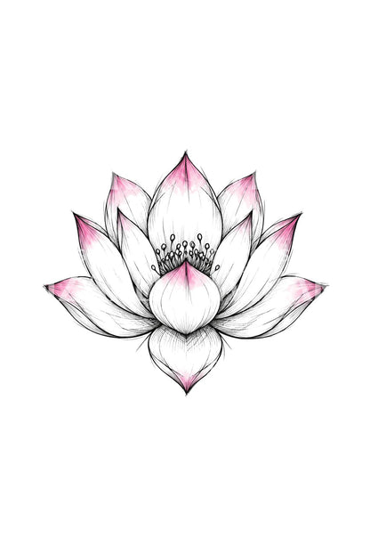 Unvollendete Tintenlotusblüte mit rosa Spitzen