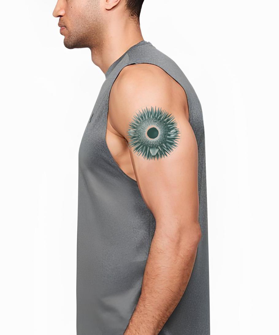 Sea Urchin Rosette Tattoo Illustration