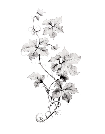 Black and Grey Ivy Tattoo Design
