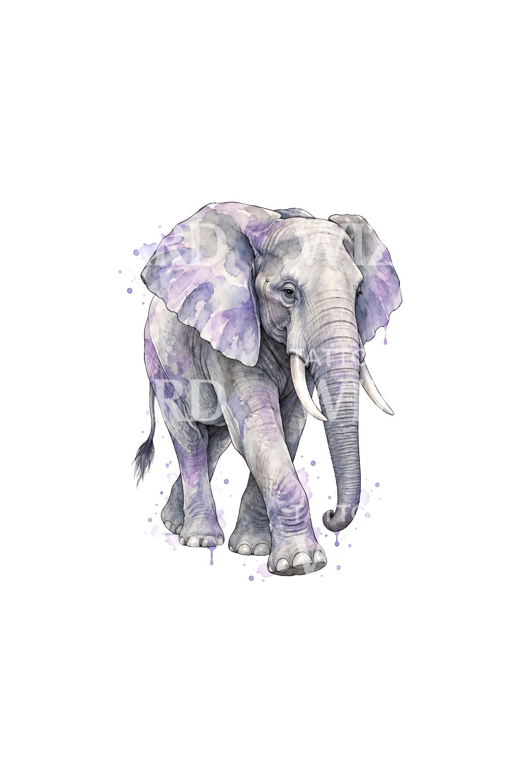 Violet Gentle Giant Elephant Tattoo Illustration