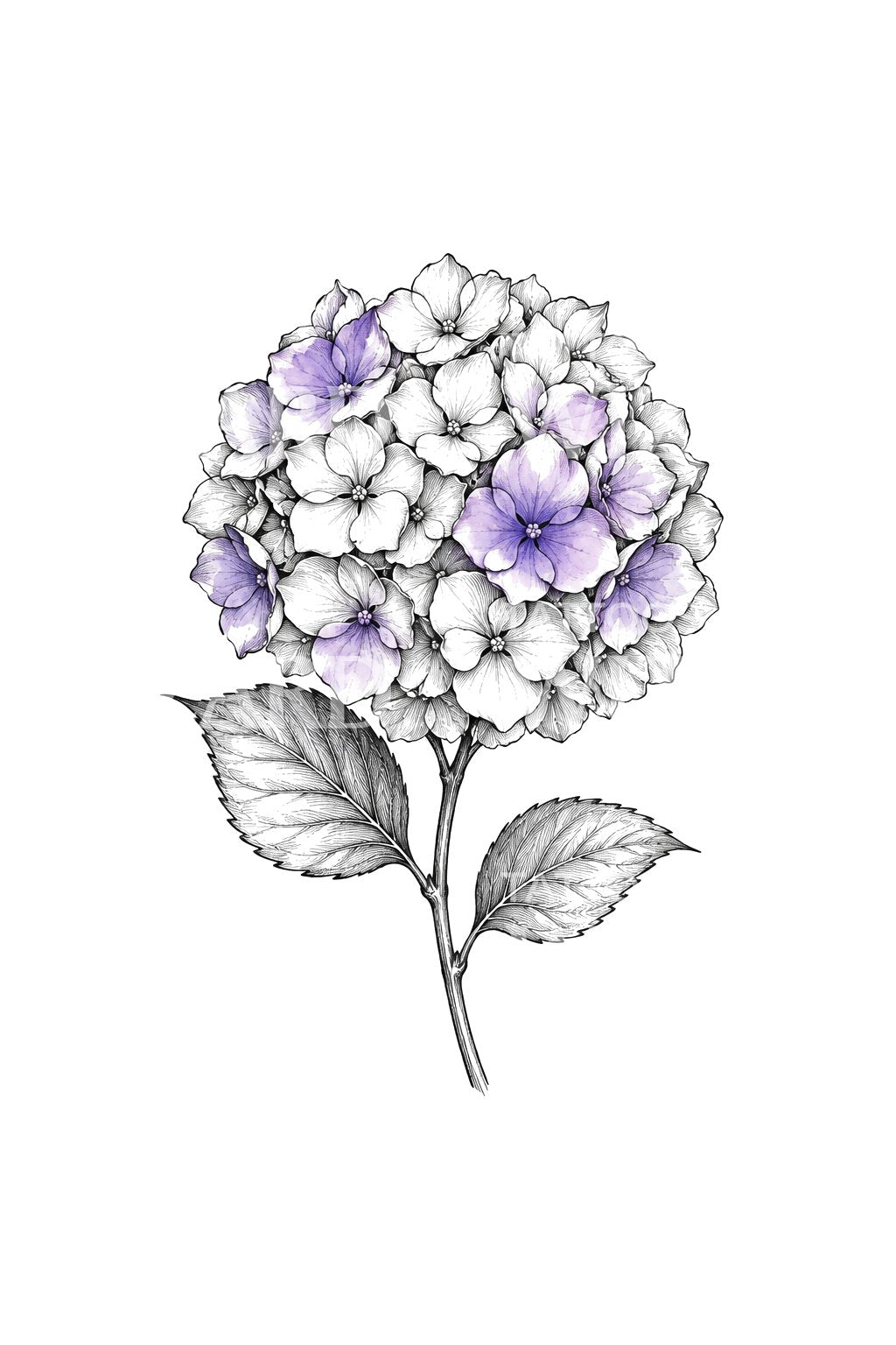 Idée de tatouage d’hortensia violet en esquisse