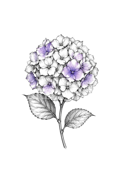 Idée de tatouage d’hortensia violet en esquisse