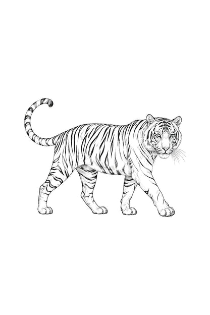 Desenho de tatuagem de tigre a caminhar em fine line
