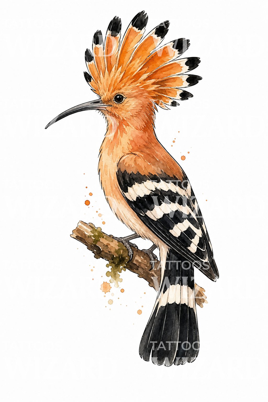 Watercolor Hoopoe Tattoo Design