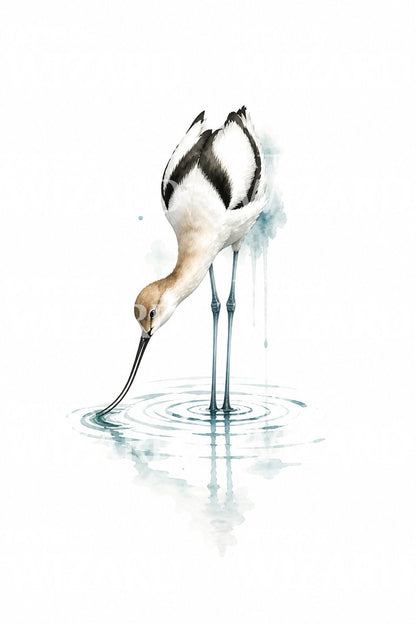 Watercolour Avocet Wading Bird Tattoo Idea