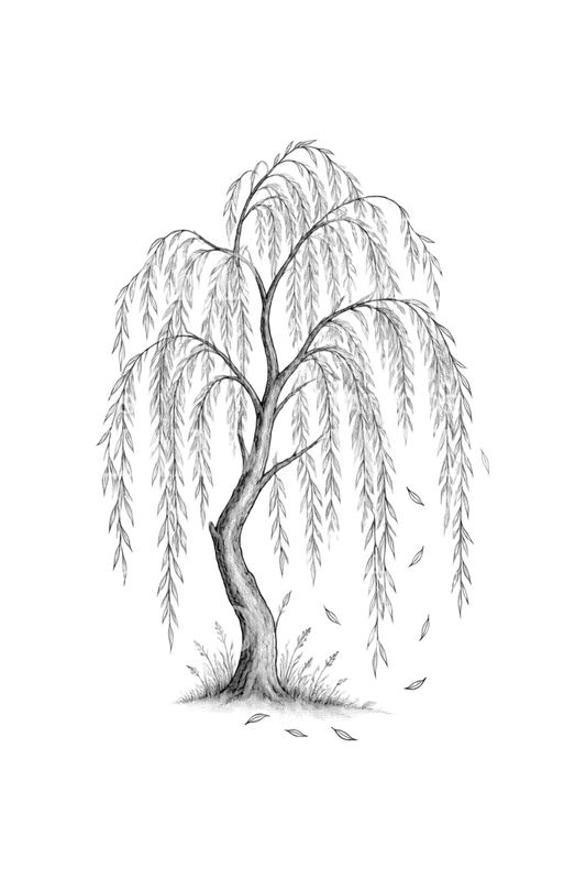Fine-line-tatoeage van een treurwilg