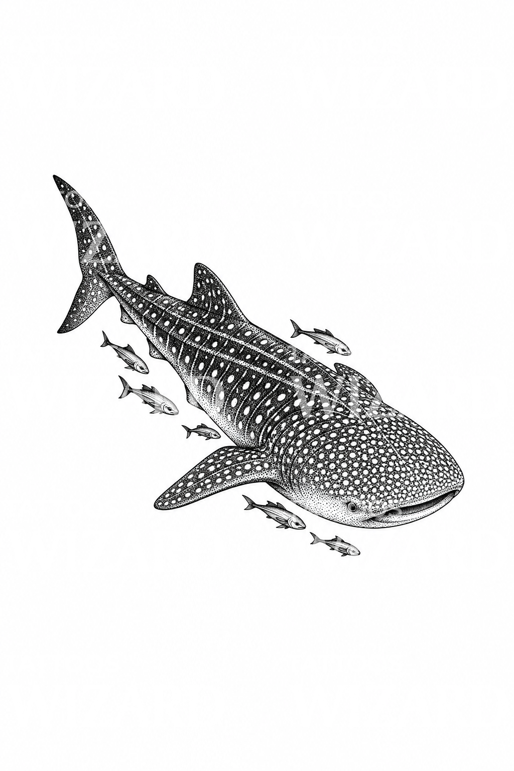 Whale Shark with Small Fish Dotwork Tattoo Illustration