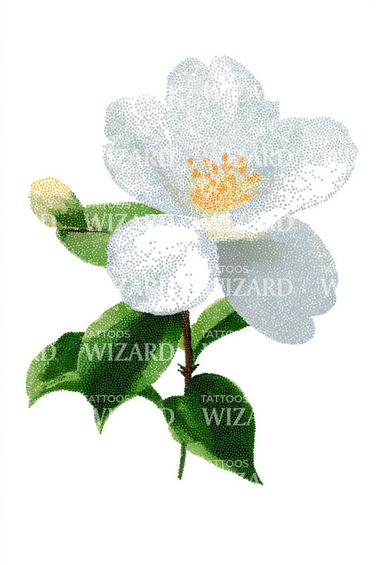 White Camellia Flower Tattoo Design