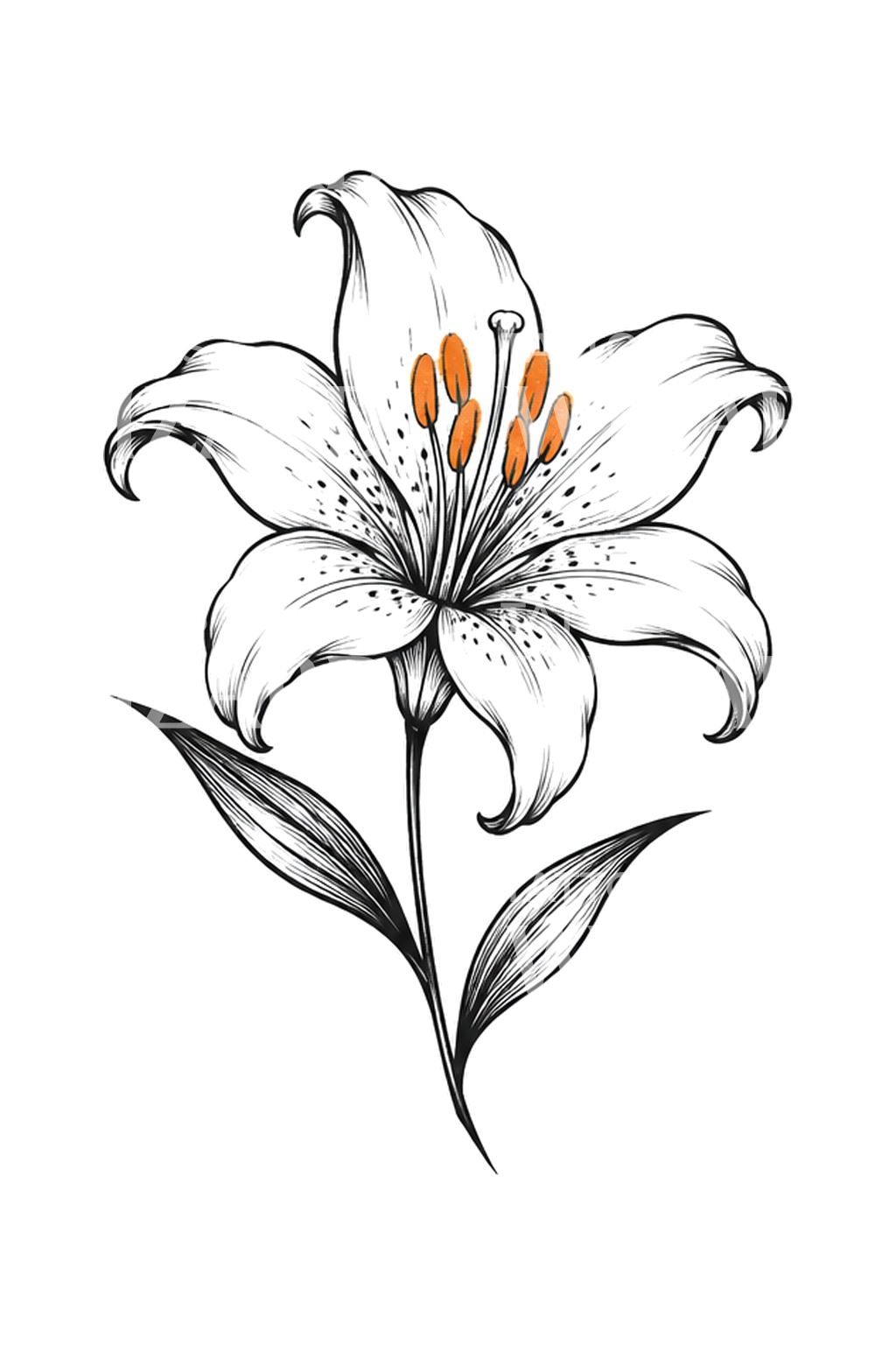 Skicovaná ilustrace tetování bílé lilie s oranžovými prašníky