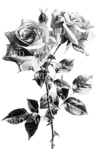 White Roses with Thorns and Leaves