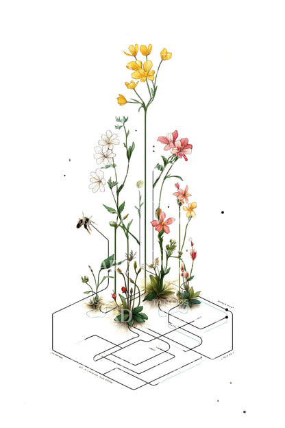 Wildflower Maze Block Tattoo Illustration