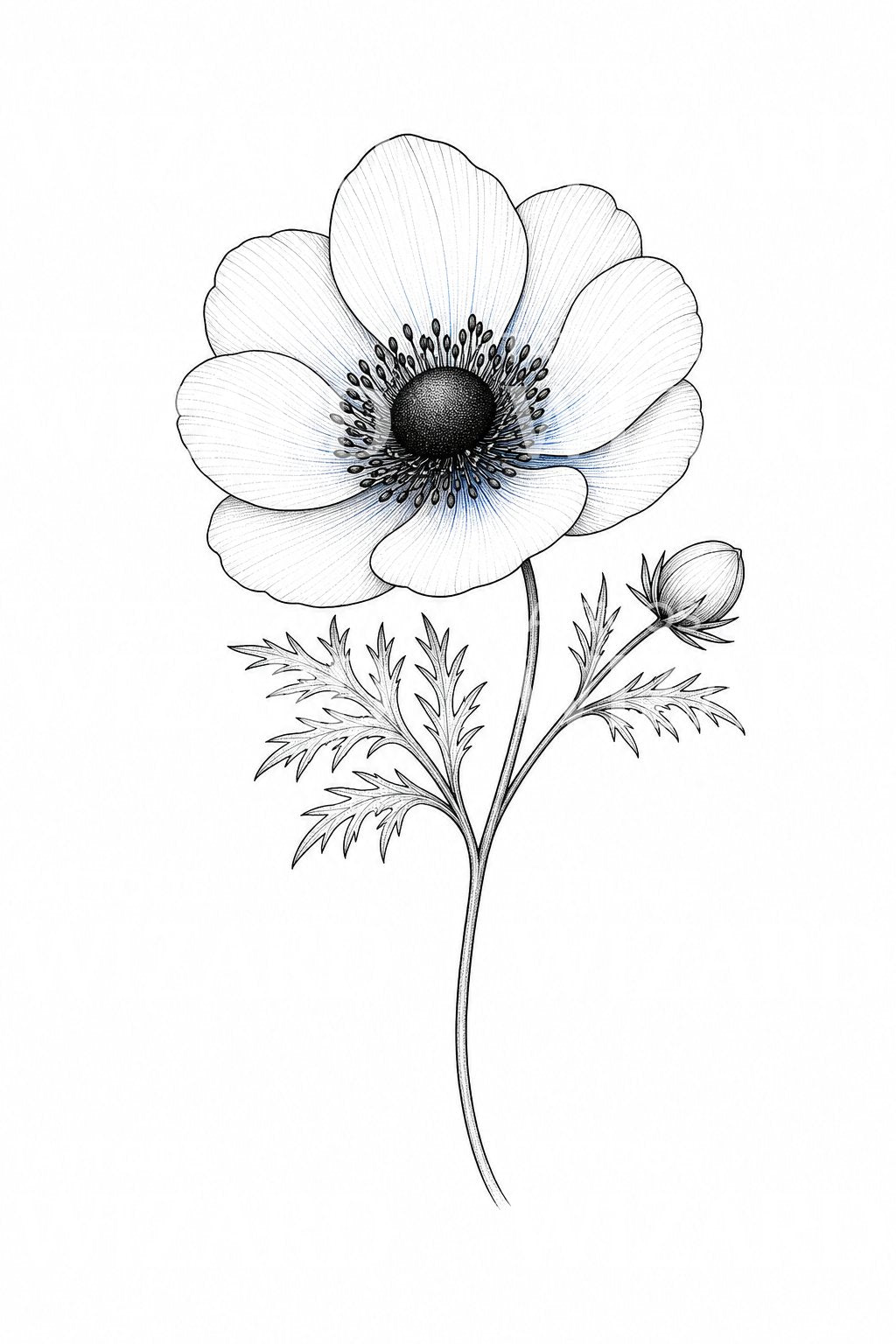 Windflower Anemone Fine Line Tattoo Design