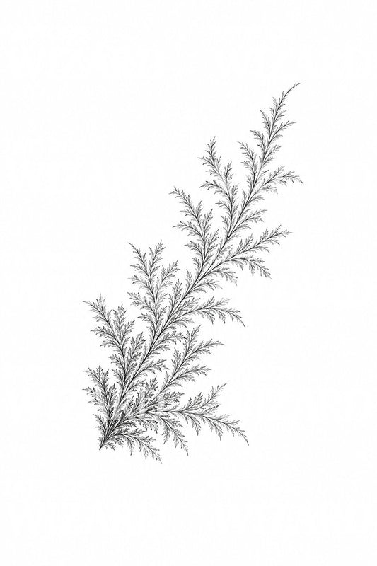 Tattoo-Design mit Fensterfrost-Kristallen