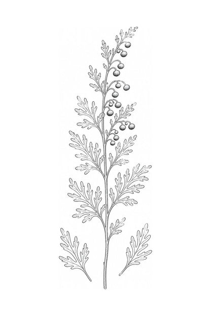 Botanisk tatoveringsdesign med malurtkvist