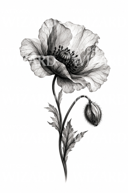 X-Ray Poppy Flower and Bud Black and Grey Tattoo (Italiano)