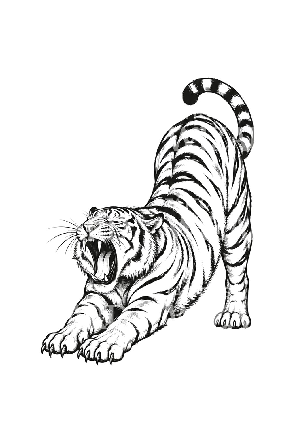 Yawning Tiger Mid Stretch Sketch Tattoo Design