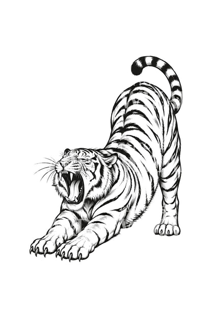 Yawning Tiger Mid Stretch Sketch Tattoo Design