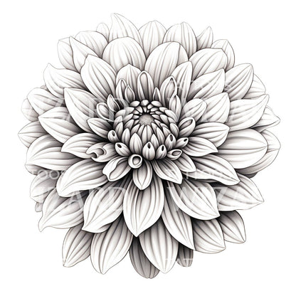 Black and Grey Chrysanthemum Flower Tattoo Design