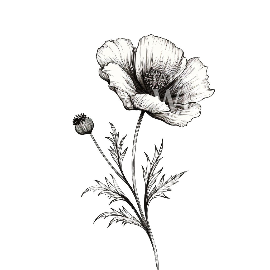 Schwarzes und graues Mohnblumen-Tattoo-Design